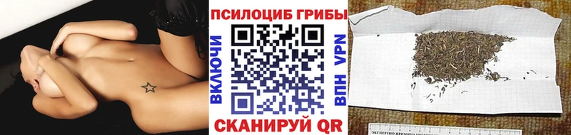 Псилоцибиновые грибы Psilocybe  Купить  Асбест 
